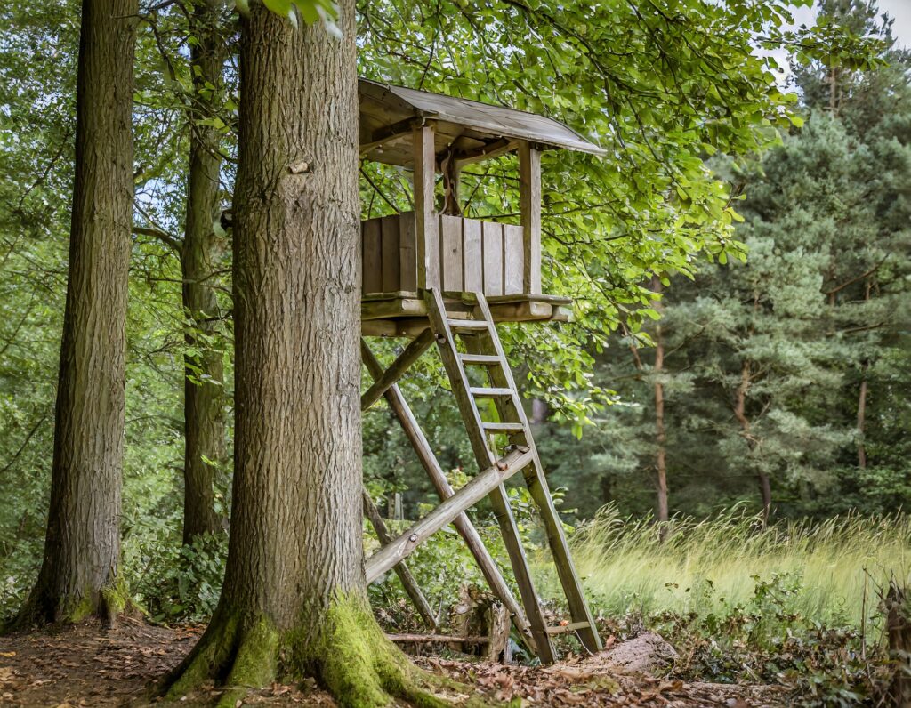 Firefly Ein Jagdsitz An Einem Baum Mit Vielen Details Vor Einer Schönen Lichtung Im Wald 85471